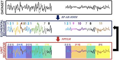 Extraction of Hierarchical Behavior Patterns Using a Non-parametric Bayesian Approach